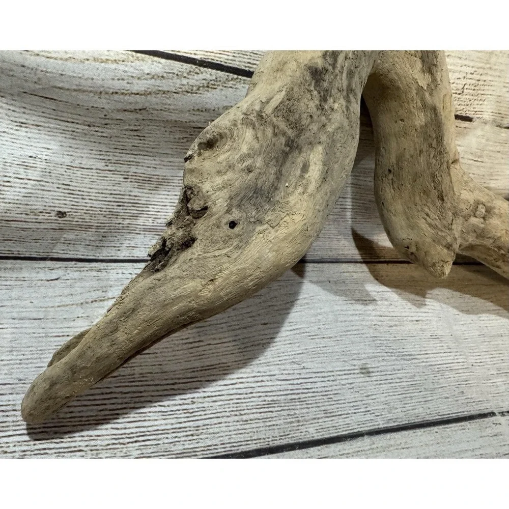 Vtg Piece of Driftwood that looks like a Dinosaur or Snake 17